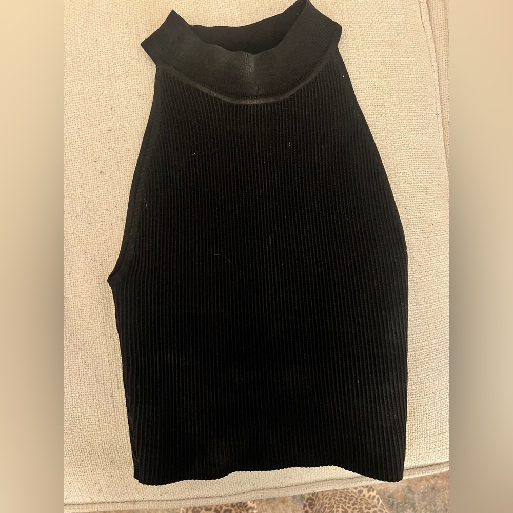Babaton Fitted Top